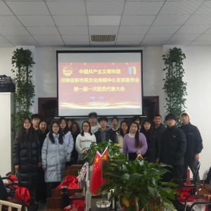 共青团河南省新市民文化传媒中心支部委员会选举任免公示